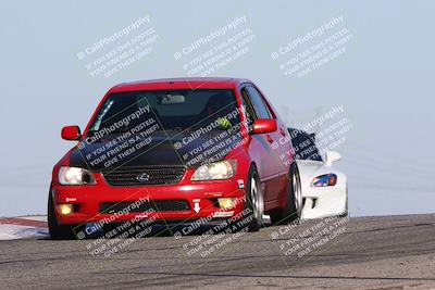 media/Nov-24-2023-Speed SF (Fri) [[8629a6e656]]/Gold/Session 2 (Grapevine)/